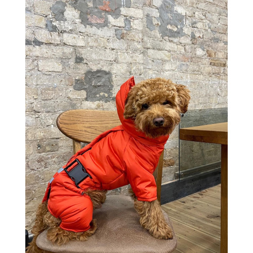 Комбинезон для собак Dogs Bomba R-22 Красный с поясом