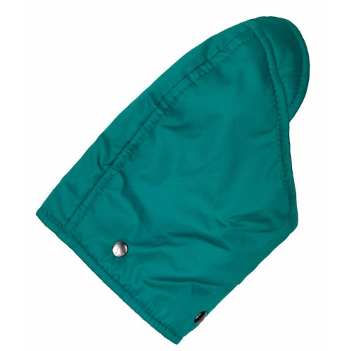 Комбинезон для собаки зима-осень с поясом изумрудного цвета R-39