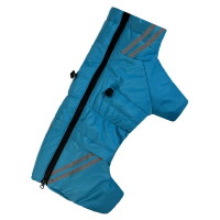 Зимний комбинезон для такс "Спорт" бирюзового цвета RT-28