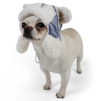 Шапка с ушками для собак голубого цвета S-95