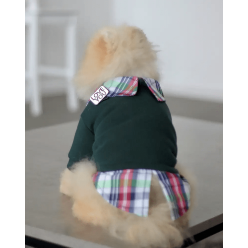 Толстовка с рубашкой для собак изумрудного цвета Y-295