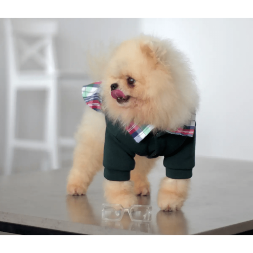 Толстовка с рубашкой для собак изумрудного цвета Y-295