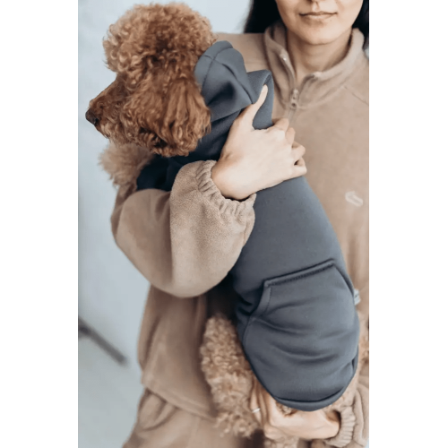 Толстовка для собак Dogs Bomba Y-321 Серая с капюшоном