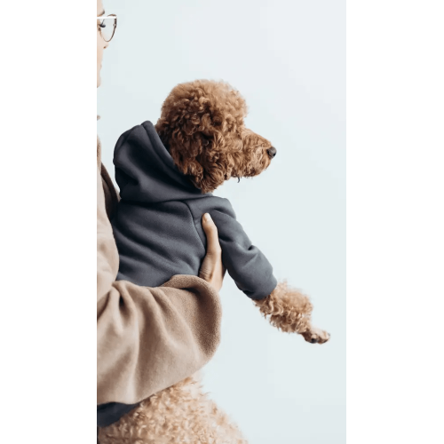 Толстовка для собак Dogs Bomba Y-321 Серая с капюшоном