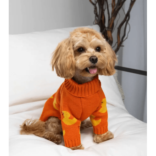 Вязаный свитер для собак Dogs Bomba Y-345 оранжевый с уточками
