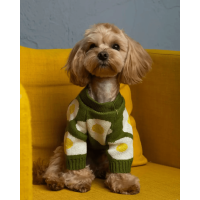 Свитер для собак Dogs Bomba Y-346 Зелёный Яичница