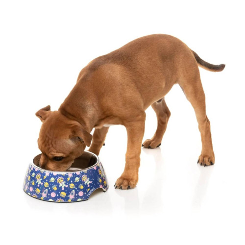 Миска для собак FuzzYard Pluto Pup, синяя