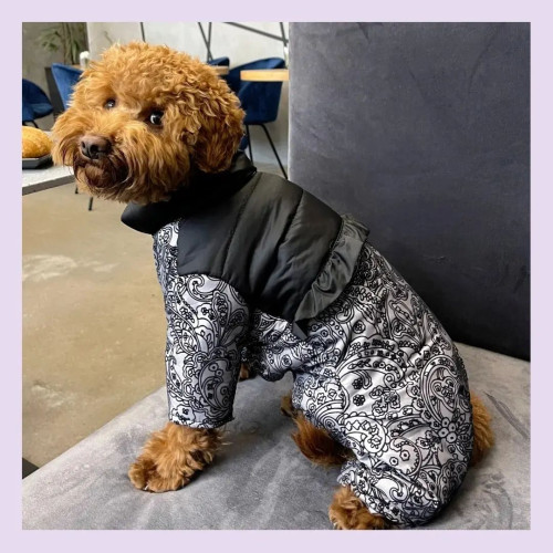 Зимний комбинезон для собаки с закрытым животиком (для девочек) GoodBoy