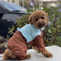 Зимний комбинезон для собаки с закрытым животиком (для девочек) GoodBoy