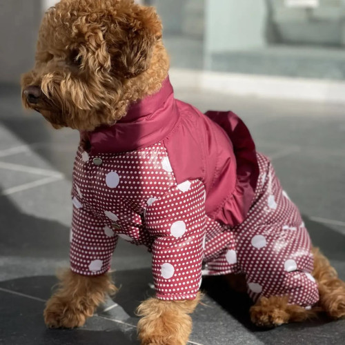 Зимний комбинезон для собаки с закрытым животиком (для девочек) GoodBoy