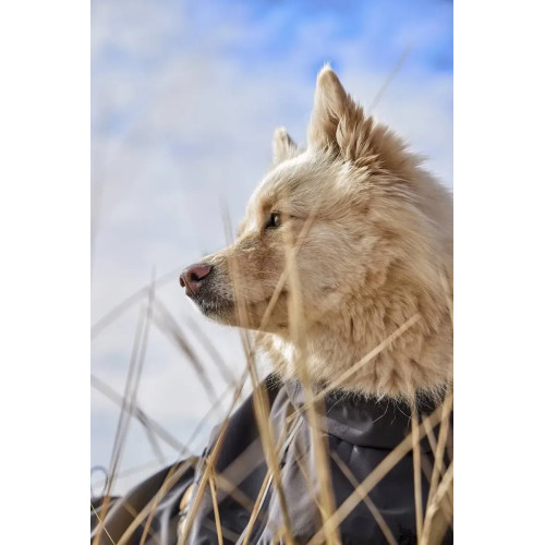 Дождевик для собак Hurtta Mudventure Coat ECO, серый