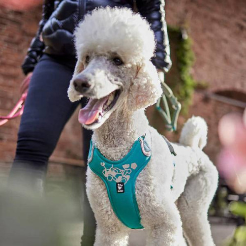 Шлейка для собак Hurtta, Weekend Warrior, бирюзовая