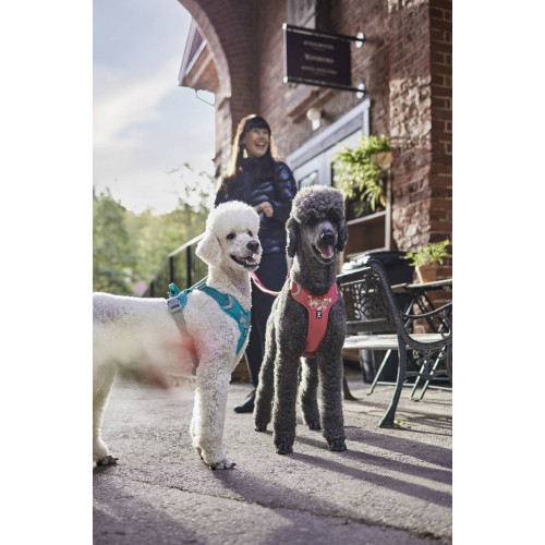 Шлейка для собак Hurtta, Weekend Warrior, бирюзовая