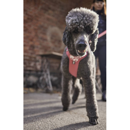 Шлейка для собак Hurtta, Weekend Warrior, розовая