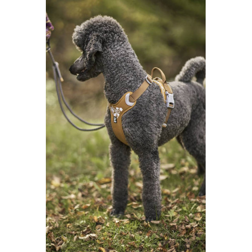 Шлейка для собак Hurtta, Weekend Warrior, бежевая