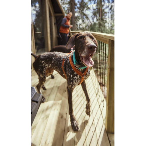 Шлейка для собак Hurtta, Casual Y-harness, коричневая