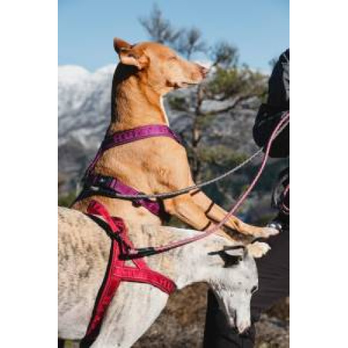 Шлея для собак Hurtta, Casual Harness ECO, рожева