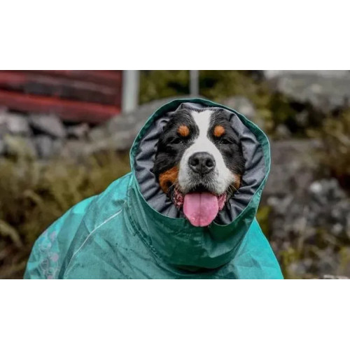 Дощовик для собак Hurtta Monsoon Coat II ECO, бірюзовий