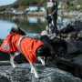 Дождевик для собак Hurtta Monsoon Coat ECO, оранжевый