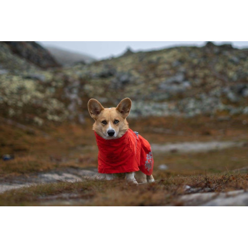 Дождевик для собак Hurtta Monsoon Coat ECO, оранжевый