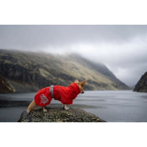 Дождевик для собак Hurtta Monsoon Coat ECO, оранжевый