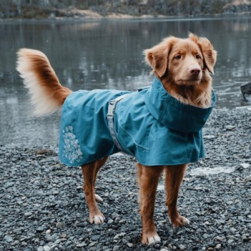 Дощовик для собак Hurtta Monsoon Coat, блакитний