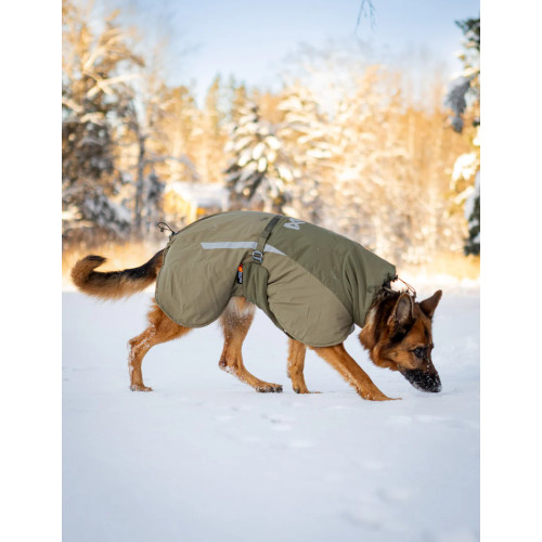 Зимняя куртка для собак Glacier wool jacket 3.0 Non-stop dogwear Зеленый