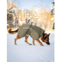 Зимняя куртка для собак Glacier wool jacket 3.0 Non-stop dogwear Зеленый