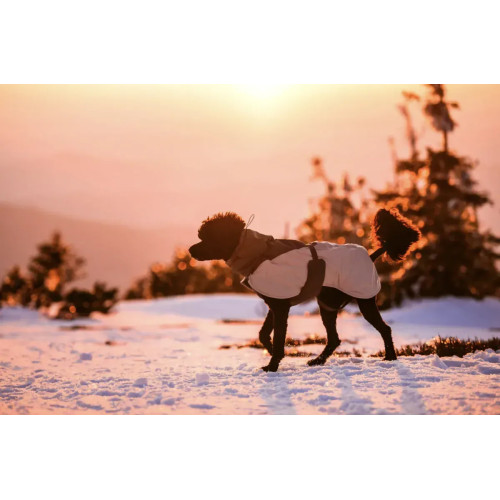 Зимняя куртка для собак Glacier wool jacket 3.0 Non-stop dogwear Зеленый