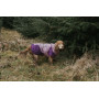 Теплая зимняя куртка для собак Glacier jacket 3.0 Non-stop dogwear Фиолетовая