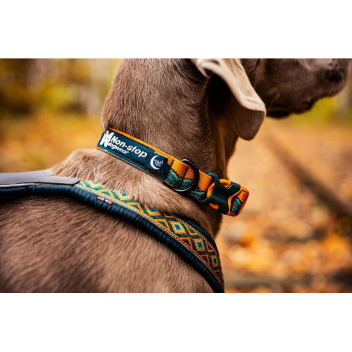 Ошейник для собак Non-stop dogwear, Trail Quest, бирюзовый/дуб