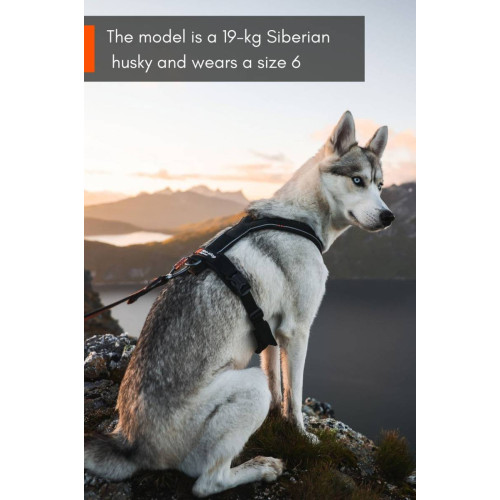 Шлейка для собак Non-stop dogwear, Line harness, черная