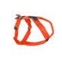 Шлейка для собак Non-stop dogwear, Line harness, оранжевая