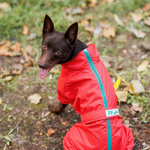 Дождевик для собак PF RAIN красного цвета