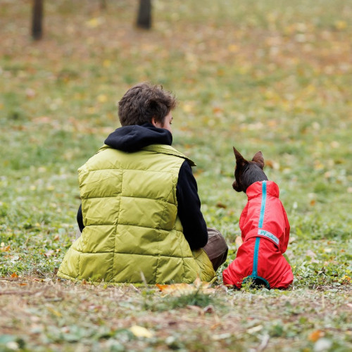 Дождевик для собак PF RAIN красного цвета
