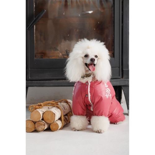 Зимний комбинезон для собак-девочек Cherry джеральдин