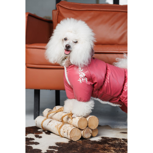 Зимний комбинезон для собак-девочек Cherry джеральдин