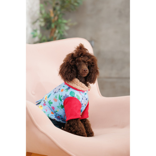 Костюм для собак-девочек Alisa с цветочным принтом