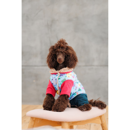 Костюм для собак-девочек Alisa с цветочным принтом