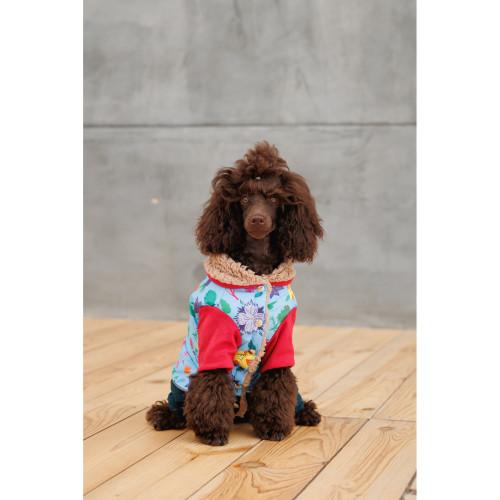 Костюм для собак-девочек Alisa с цветочным принтом