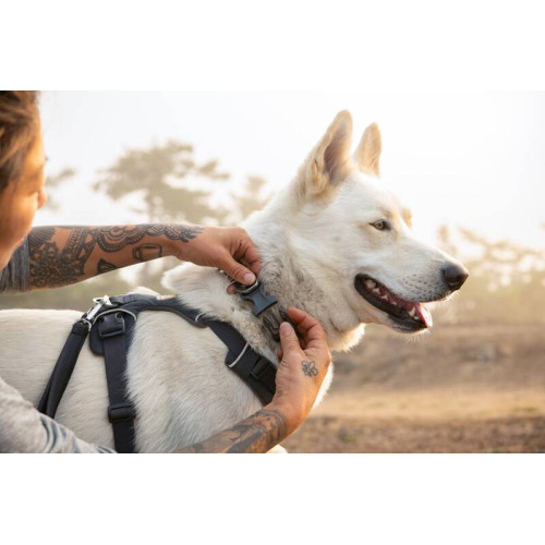 Ошейник для собак Ruffwear, Front Range, серый