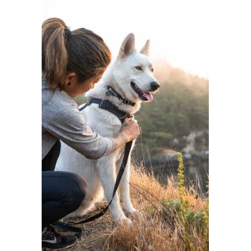 Ошейник для собак Ruffwear, Front Range, серый