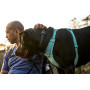Ошейник для собак Ruffwear, Front Range, серый