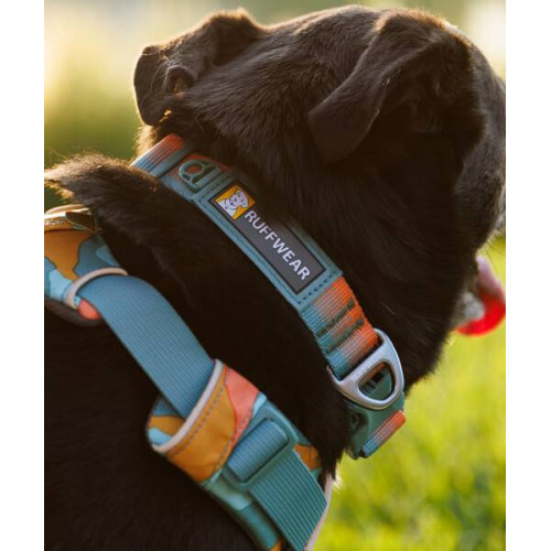 Ошейник для собак Ruffwear, Front Range™, оранжево-серый