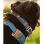 Ошейник для собак Ruffwear, Front Range™, оранжево-серый