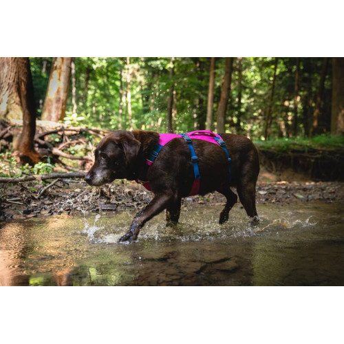 Шлейка для собак Ruffwear, Flagline, малиновая