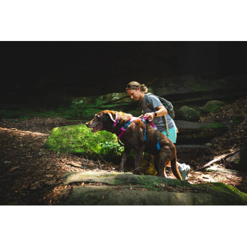 Шлейка для собак Ruffwear, Flagline, малиновая