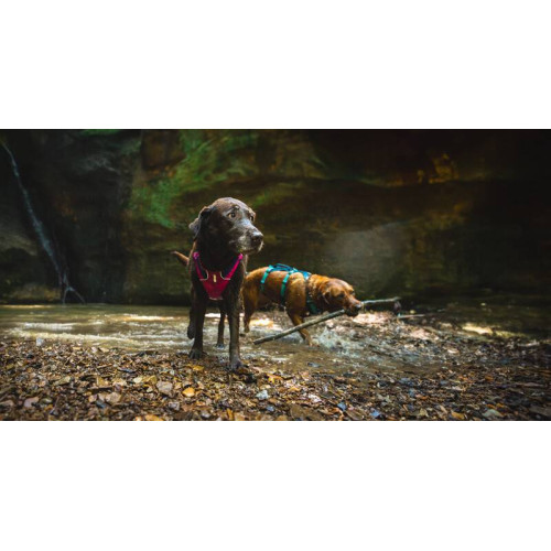 Шлейка для собак Ruffwear, Flagline, малиновая