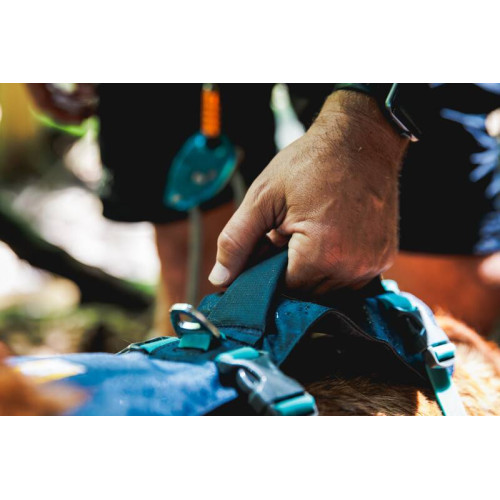 Шлейка для собак Ruffwear, Flagline™, серая