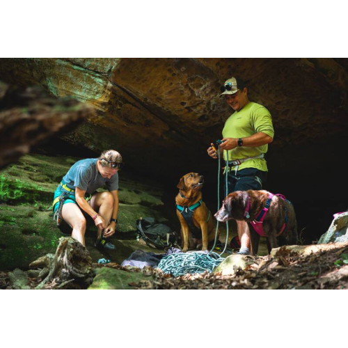 Шлейка для собак Ruffwear, Flagline™, серая